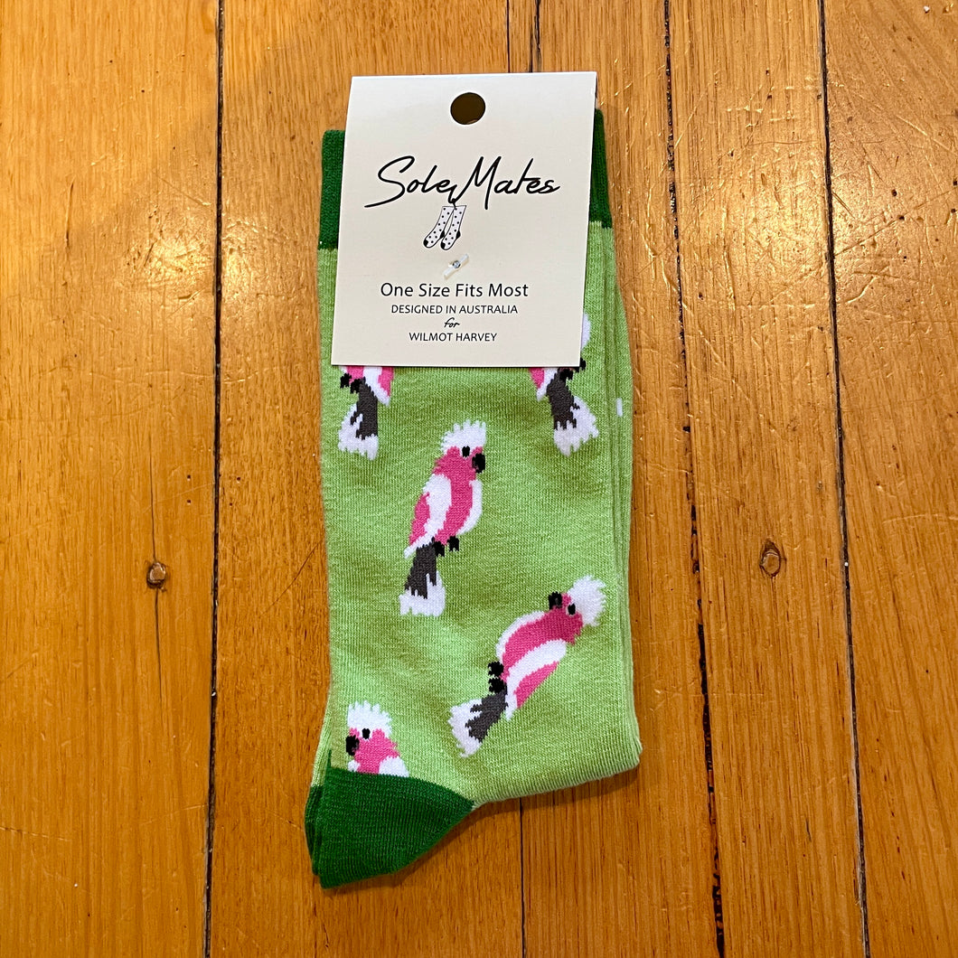 Socks - Galah Green/Pink