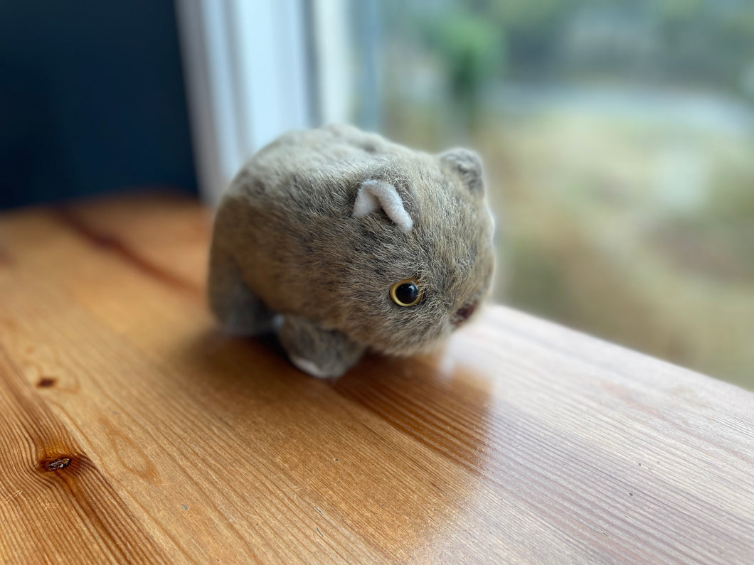 Plush Toy - Luke the Wombat  - Small